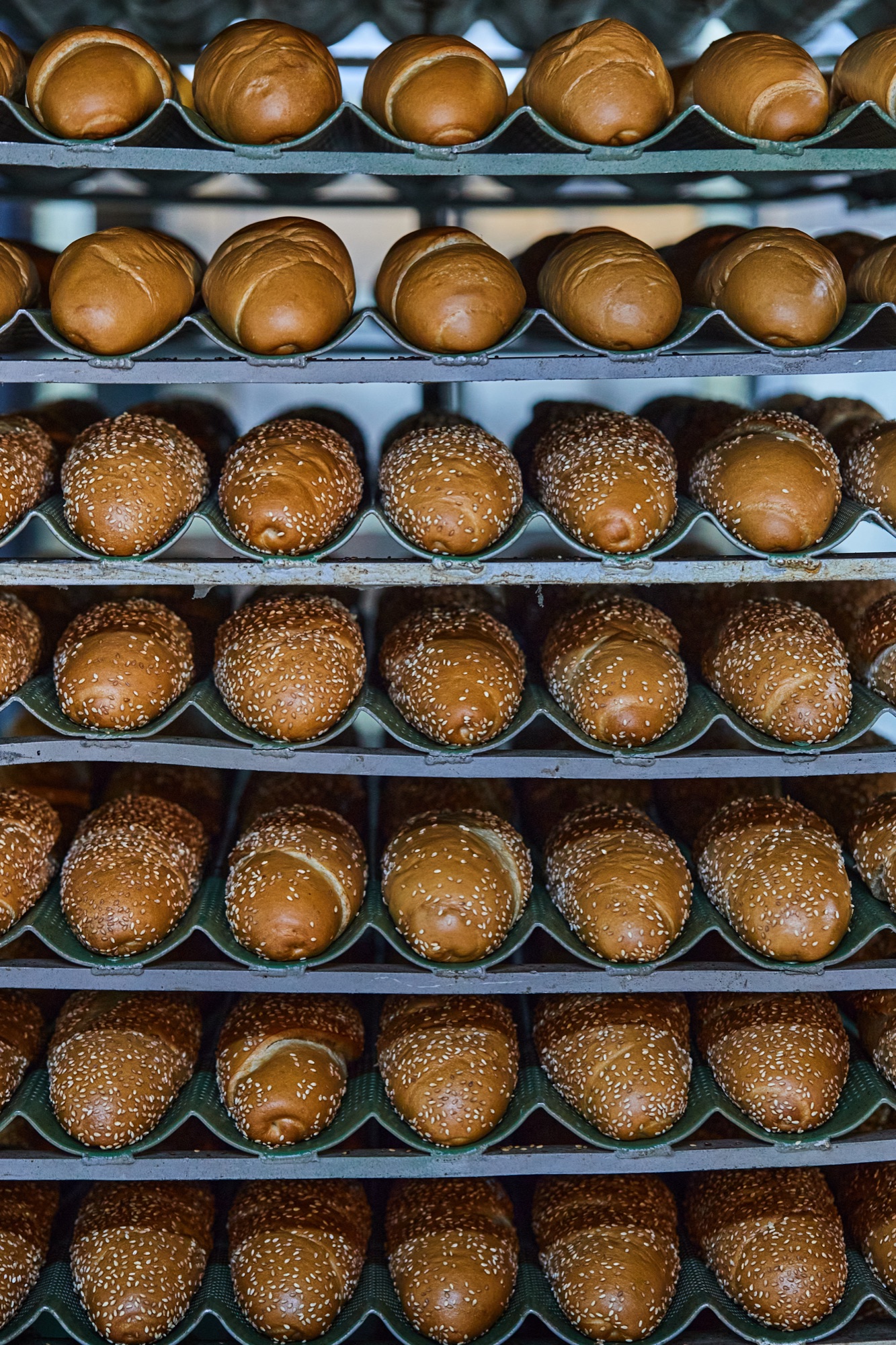 Trays of sesame rolls cooling on a bakery cart